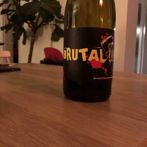 Brutal - Le Temps Fait Tout - Rémi Poujol 