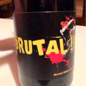 Le Temps Fait Tout - Rémi Poujol - Brutal