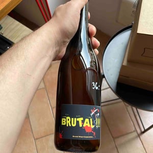 Brutal - Vina Štemberger - sebastianj-stemberger