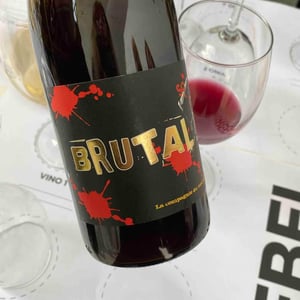 Brutal Est Mort Vive Brutal !!! - La Sorga - Antony Tortul 