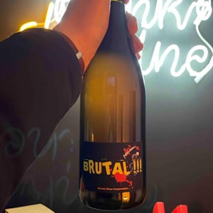 Brutal - Vina Štemberger - Sebastianj Štemberger 