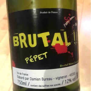 Brutal Pépet - Damien Bureau - damien-bureau -2016