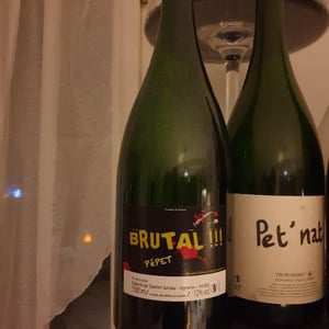 Brutal Pépet - Damien Bureau - Damien Bureau -2016