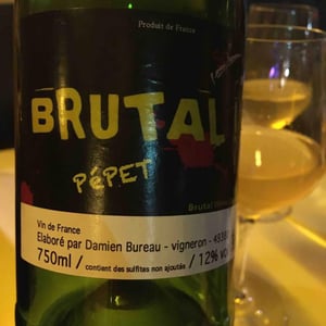 Brutal Pépet - Damien Bureau - damien-bureau -2016