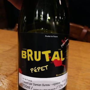 Brutal Pépet - Damien Bureau - Damien Bureau -2016