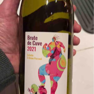 Côtes de la Molière - Isabelle & Bruno Perraud - Brute de Cuve