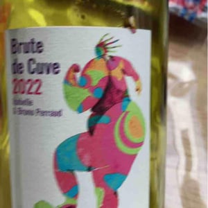 Côtes de la Molière - Isabelle & Bruno Perraud - Brute de Cuve