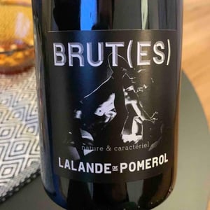 Brut(es) - Marius Bielle - Damien Bielle -2020