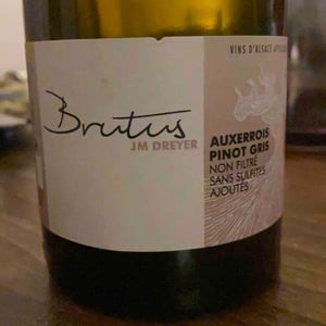 Brutus