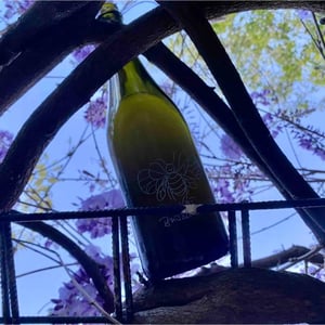 Bubble Bee Pét Nat - Hummel Pincészet - Weingut Hummel - horst-hummel -2022