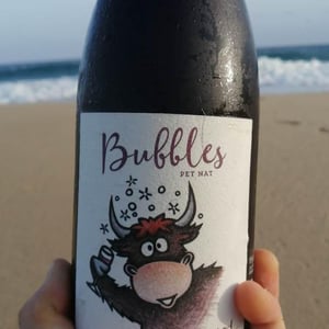 Bubbles Pet Nat - Sol - Michael Gindl 