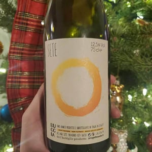 Buccia - Sete - Vini Naturali - emiliano-giorgi-arcangelo-galuppi-martina-dalessio