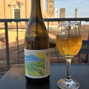 Bucciammare - Cantina Fratelli Barba - barba-vini -2022