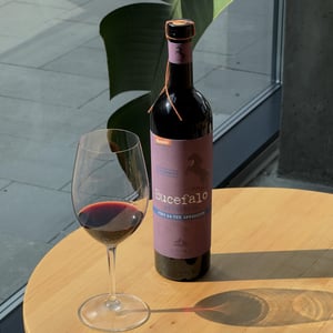 Bucefalo - Cantina Orsogna - cantina-orsogna -2020