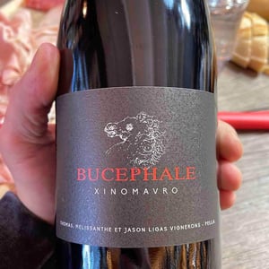Bucephale - Domaine Ligas - Ktima Ligas - meli-ligas-thomas-ligas