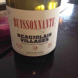 Buissonnante - Domaine Leonis - Cristelle & Raphaël Champier 