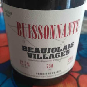 Domaine Leonis - Cristelle & Raphaël Champier - Buissonnante