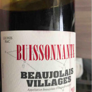 Buissonnante - Domaine Leonis - Cristelle & Raphaël Champier 
