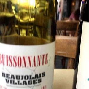 Buissonnante - Domaine Leonis - cristelle-raphael-champier