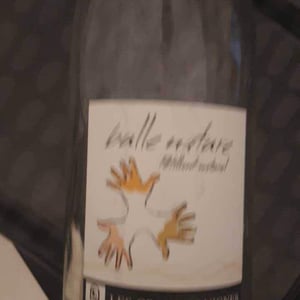 Les Grandes Vignes - Laurence, Dominique & Jean-François Vaillant - Bulle Nature Pet Nat blanc