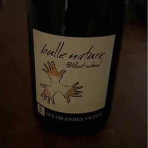 Les Grandes Vignes - Laurence, Dominique & Jean-François Vaillant - Bulle Nature Pet Nat blanc