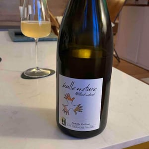 Les Grandes Vignes - Laurence, Dominique & Jean-François Vaillant - Bulle Nature Pet Nat blanc