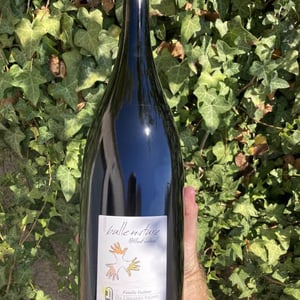 Bulle Nature Pet Nat blanc - Les Grandes Vignes - laurence-dominique-jean-francois-vaillant