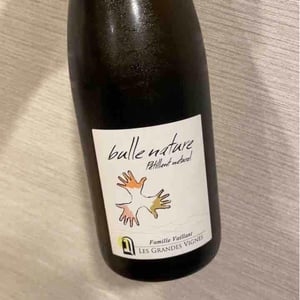 Les Grandes Vignes - Laurence, Dominique & Jean-François Vaillant - Bulle Nature Pet Nat blanc