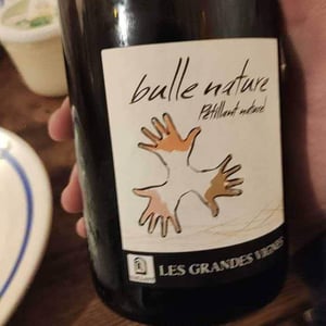 Les Grandes Vignes - Laurence, Dominique & Jean-François Vaillant - Bulle Nature Pet Nat blanc