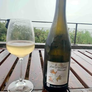 Les Grandes Vignes - Laurence, Dominique & Jean-François Vaillant - Bulle Nature Pet Nat blanc