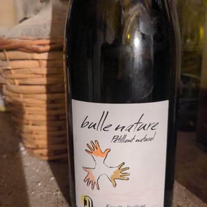 Les Grandes Vignes - Laurence, Dominique & Jean-François Vaillant - Bulle Nature Pet Nat blanc