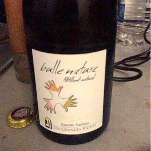 Les Grandes Vignes - Laurence, Dominique & Jean-François Vaillant - Bulle Nature Pet Nat blanc