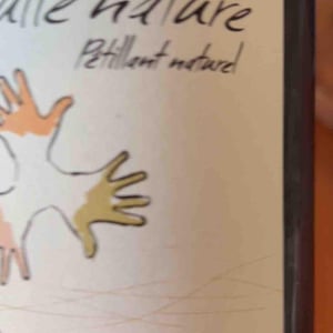 Les Grandes Vignes - Laurence, Dominique & Jean-François Vaillant - Bulle Nature Pet Nat blanc
