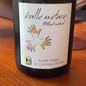 Les Grandes Vignes - Laurence, Dominique & Jean-François Vaillant - Bulle Nature Pet Nat blanc