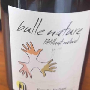 Les Grandes Vignes - Laurence, Dominique & Jean-François Vaillant - Bulle Nature Pet Nat blanc