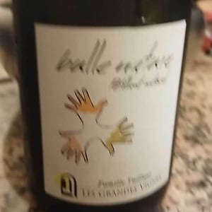Bulle Nature Pet Nat rosé - Les Grandes Vignes - Laurence, Dominique & Jean-François Vaillant 