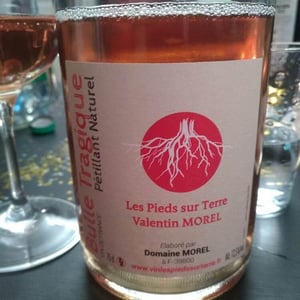Bulle Tragique - Les Pieds Sur Terre - valentin-morel