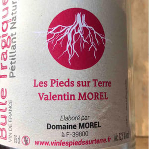 Bulle Tragique - Les Pieds Sur Terre - Valentin Morel 