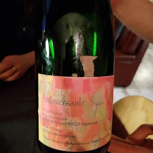 Bullerversante - Marie et Vincent Tricot - Vincent et Marie Tricot 