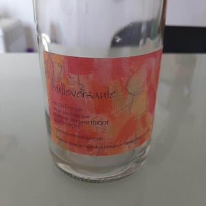 Bullerversante - Marie et Vincent Tricot - Vincent et Marie Tricot 