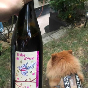 Bulles d'aunis - Domaine des Pies Blanches - Pierre Pradelle -2021