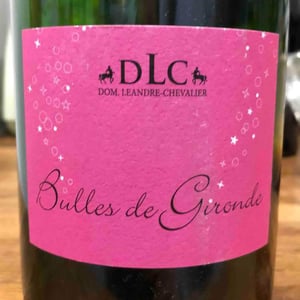 Bulles de Gironde - Domaine Léandre-Chevalier - DLC - L'Homme-Cheval - dominique-leandre-chevalier-reto-erdin