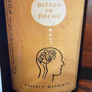Bulles De Roche - Domaine des Roches Neuves - Thierry et Louis Germain 