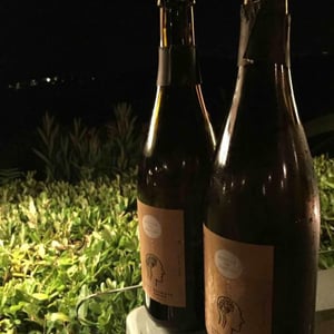 Domaine des Roches Neuves - Thierry et Louis Germain - Bulles De Roche