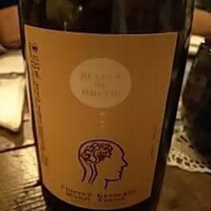 Bulles De Roche - Domaine des Roches Neuves - Thierry et Louis Germain 