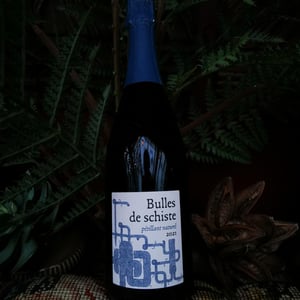 Bulles de Schiste - Terra Vita Vinum - benedicte-luc-briand