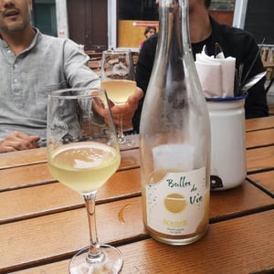 Rohrer - André & Ludo Rohrer - Bulles de Vie