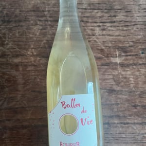 Bulles de Vie - Rohrer - andre-ludo-rohrer