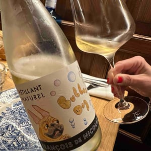 Bulles Dog - Maison François de Nicolay - francois-de-nicolay