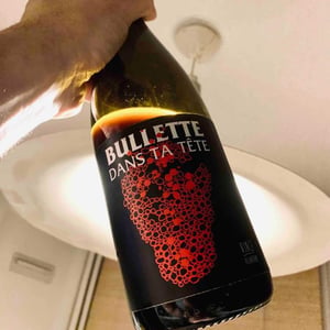 Bullette dans ta tête - No Control - Vincent Marie 